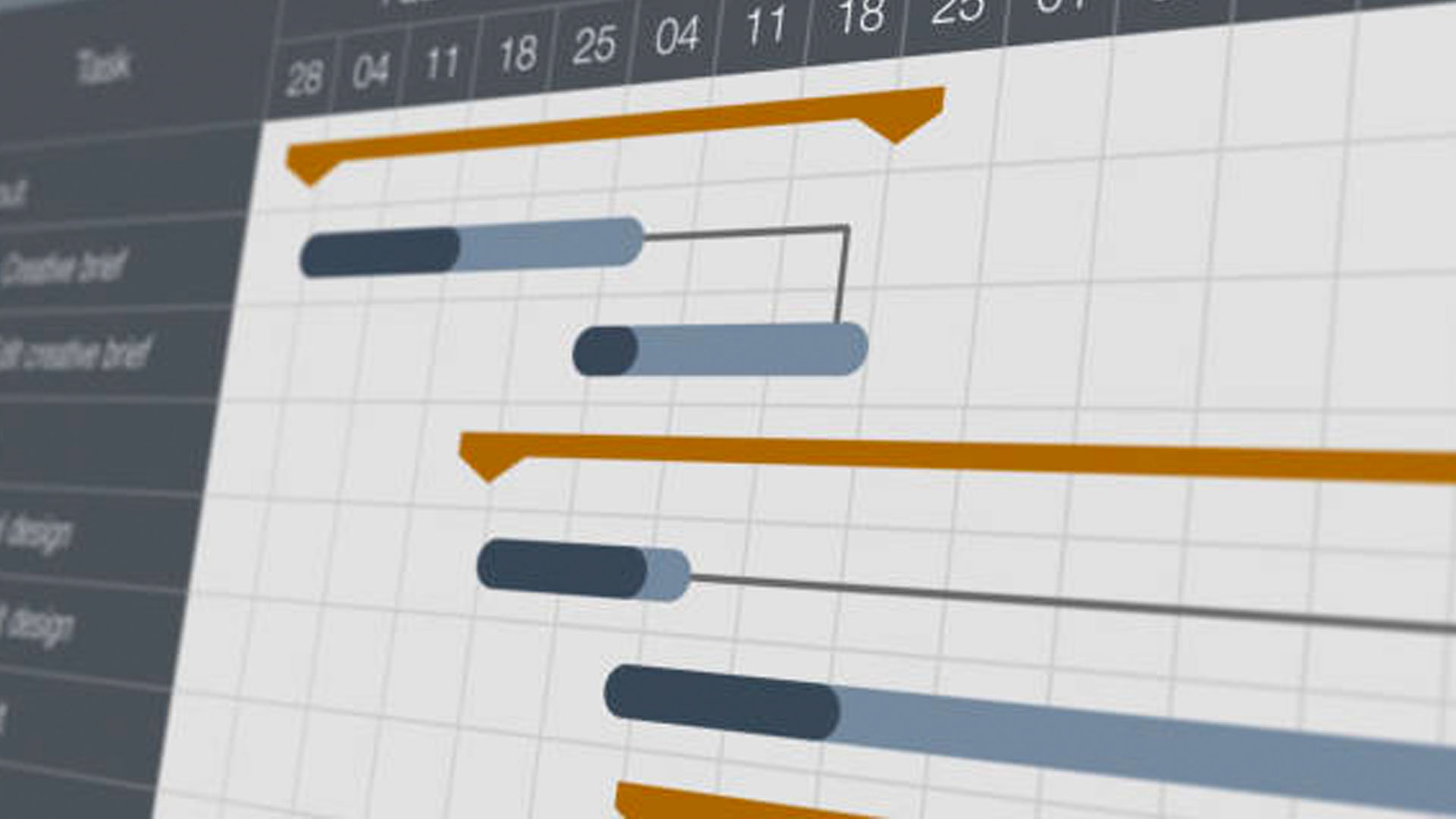 Project Management  Interin Management